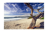 Carmel Beach, California Photographic Print by George Oze