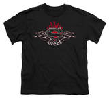 Youth: Superman - Steel Flames Logo Shirt