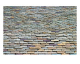 Roof Tiles Photographic Print by Henrik Lehnerer