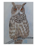African Eagle Owl Giclee-trykk av Cindy Beck