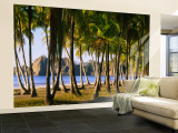 Palm Trees on the Beach, Carrillo Beach, Nicoya Peninsula, Guanacaste Province, Costa Rica Wall Mural – Large