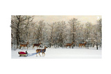 Deer In Forest Giclee Print by Nancy Tillman