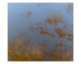 Coffee Clouds Photographic Print by Laura Barbosa