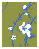 Green Cherry Blossom Photographic Print by Estela Lugo