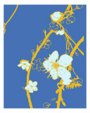 Gold N Blue Cherry Blossom Photographic Print by Estela Lugo
