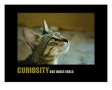 Inspirational-Motivational: Curiosity Photographie par Andrew Schwartz
