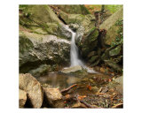 A Waterfall In Provence Forest Photographic Print by Patrick Morand