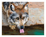 Watchful Drink Lámina giclée por Karen Yee Watchful Drink Lámina giclée por Karen Yee