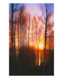 Winter Siljan Sunset 2 Giclee-trykk av Dan Berkeland Winter Siljan Sunset 2 Giclee-trykk av Dan Berkeland