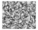 Swirling Dance 1 In Black And White Photographic Print by David Jones