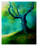 Light On A Dead Tree reproduction procédé giclée par Veronique Radelet