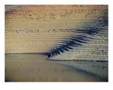 Sands of Time Photographic Print by Donald Bitterman