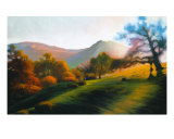Central Coast Oaks Giclee-trykk av Dan Berkeland Central Coast Oaks Giclee-trykk av Dan Berkeland