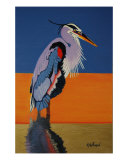 Great Blue Heron Giclee Print by harold w hoffman
