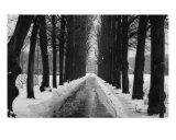 Oslo Photographic Print by Michelle Ciarlo-hayes