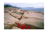 Otter Point, Acadia National Park, Maine Photographie par George Oze