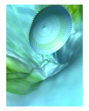 Flying Bowl Photographic Print by Christian Rutz