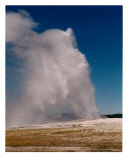Old Faithful Photographic Print by Cheryl Crowe
