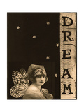 Vintage Dream Lámina fotográfica por Ricki Mountain Vintage Dream Lámina fotográfica por Ricki Mountain