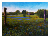 Barbed Wire & Bluebonnets Giclee Print by Lloyd Voges