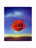 Salvador Dalí - Rose Medidative, c.1958 - Art Print Salvador Dalí - Rose Medidative, c.1958 - Art Print
