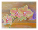 Orchids No 9 Giclee Print by Thi Nguyen