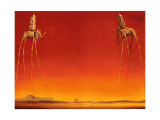 The Elephants, ca. 1948 Plakater af Salvador Dalí The Elephants, ca. 1948 Plakater af Salvador Dalí