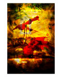 Grace Photographic Print by Stacy Lee