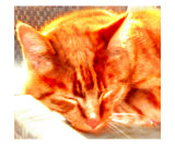 Chat endormi Photographie par Peter Valente