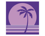 Palm 5 Photographic Print by Micheline Kanzy