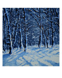 So Much Snow reproduction procédé giclée par Veronique Radelet
