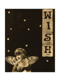 Vintage wish collage Lámina fotográfica por Ricki Mountain