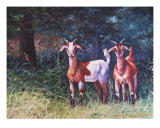 Goat Friends Giclee Print by Suzanne Barrett Justis
