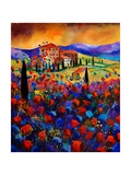 Tuscany Poppies Giclee Print by Ledent 