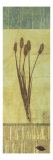 Blue Grass Giclee-trykk av Mary Margaret Briggs