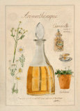 Aromatherapie, Camomille Póster por Laurence David Aromatherapie, Camomille Póster por Laurence David