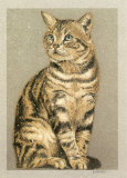 Cesar Poster von Laurence David