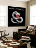 Whitesnake Wall Mural