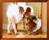 Reluctant Dancer Posters