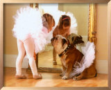 Reluctant Dancer Prints