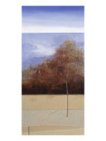 Impermanence of Each Season II Giclee Print by Danna Harvey
