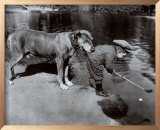 Retrieving The Ball Print