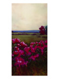 View From The Garden II Lámina giclée por Donna Young View From The Garden II Lámina giclée por Donna Young