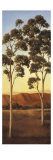 Lonely Eucalyptus II Giclee Print by Cory Steffen