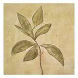 Leaf Fresco V Giclee Print by David Dauncey