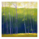 Summer Leaves Giclee Print by Teri Jonas