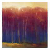 Deep Woods in Autumn Giclee Print by Teri Jonas