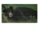 Lazy Bear Ranch Giclee Print by Penny Wagner