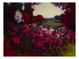 Rhodies II Giclee Print by Donna Young