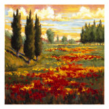 Tuscany in Bloom I Giclee Print by J.m. Steele